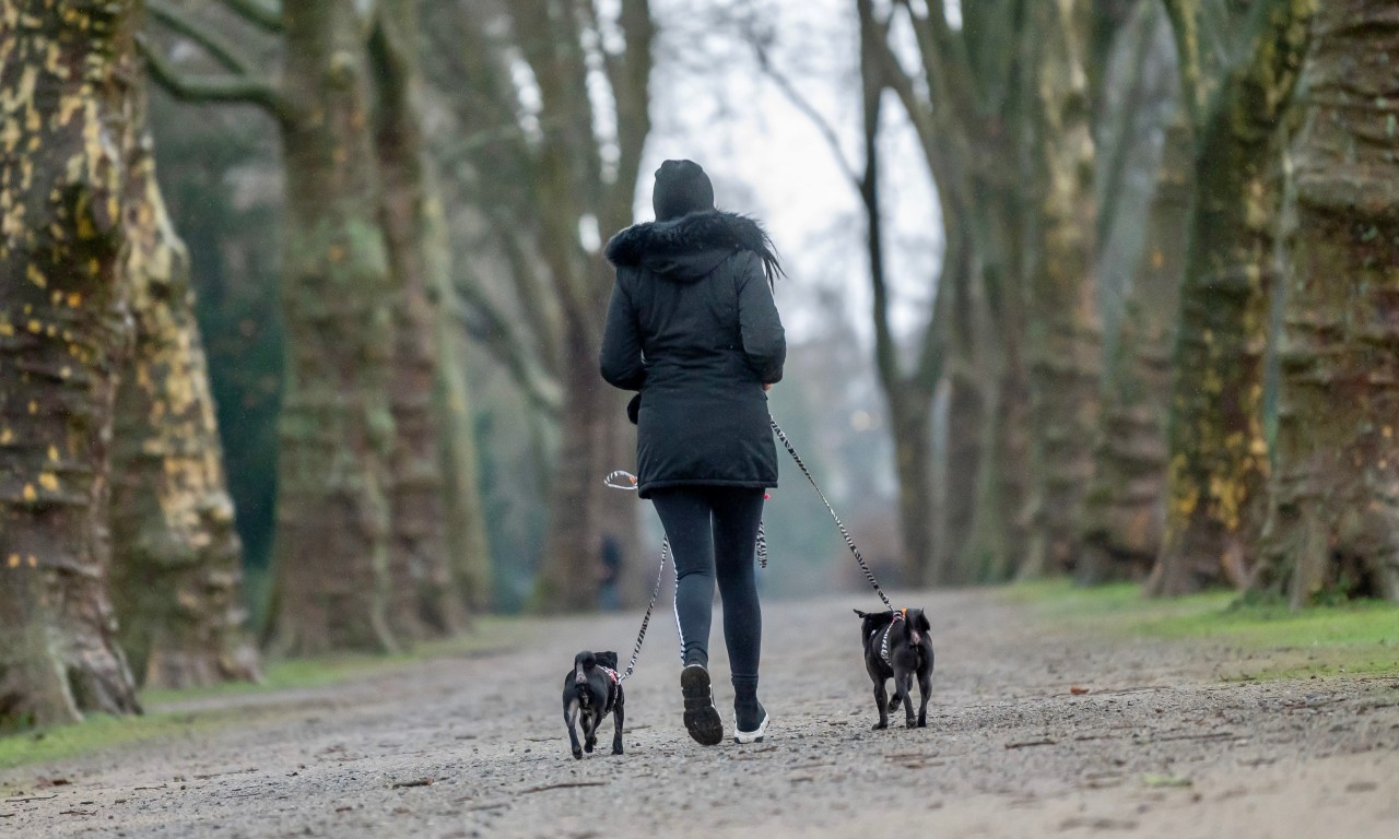 Gelsenkirchen: Bei ihrem Spaziergang durch die Stadt blieb der jungen Frau die Spucke weg. (Symbolbild)