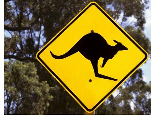 Känguru-Warnschilder wie in Australien gibt es in Deutschland für gewöhnlich nicht. Vielleicht muss in Büren darüber nachgedacht werden, einen solchen Hinweis aufzustellen. Foto: imago
