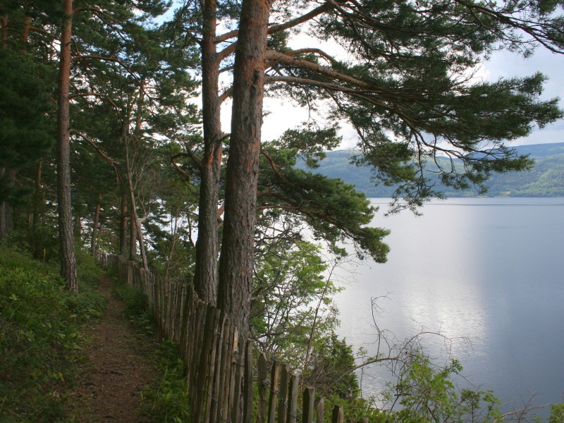 Etwa eineinhalb Stunden lang läuft Breivik über die Insel, schießt auf die Jugendlichen und ihre Betreuer, auch auf jene, die ins Wasser springen und zum 600 Meter entfernten Festland flüchten wollen.