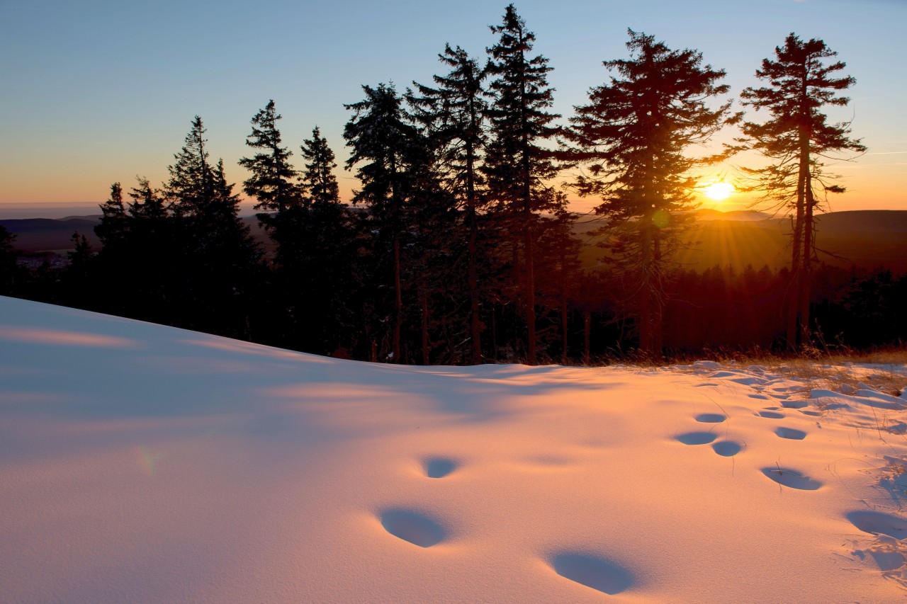 Auf dem Wurmberg bei Braunlage im Oberharz (Niedersachsen) liegt bereits eine beachtliche Schneedecke.