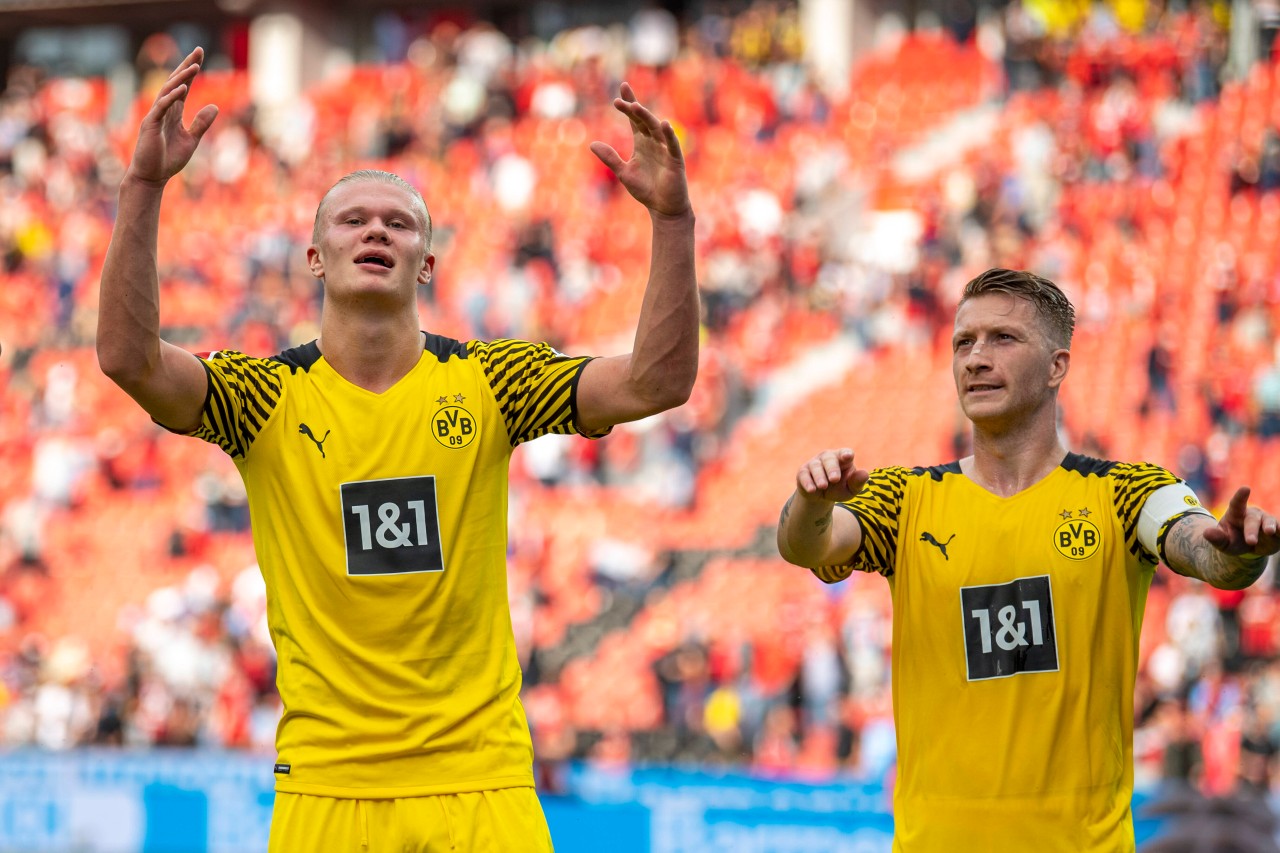 Gute Nachrichten beim BVB! Erling Haaland (l) und Marco Reus (r.) kehren zurück.