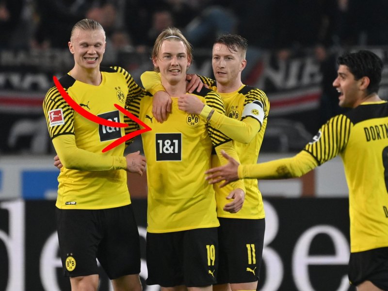Borussia Dortmund Trikot neu