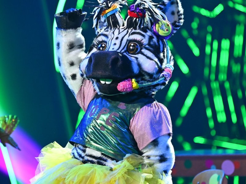 Das-Zebra-The-Masked-Singer.jpg