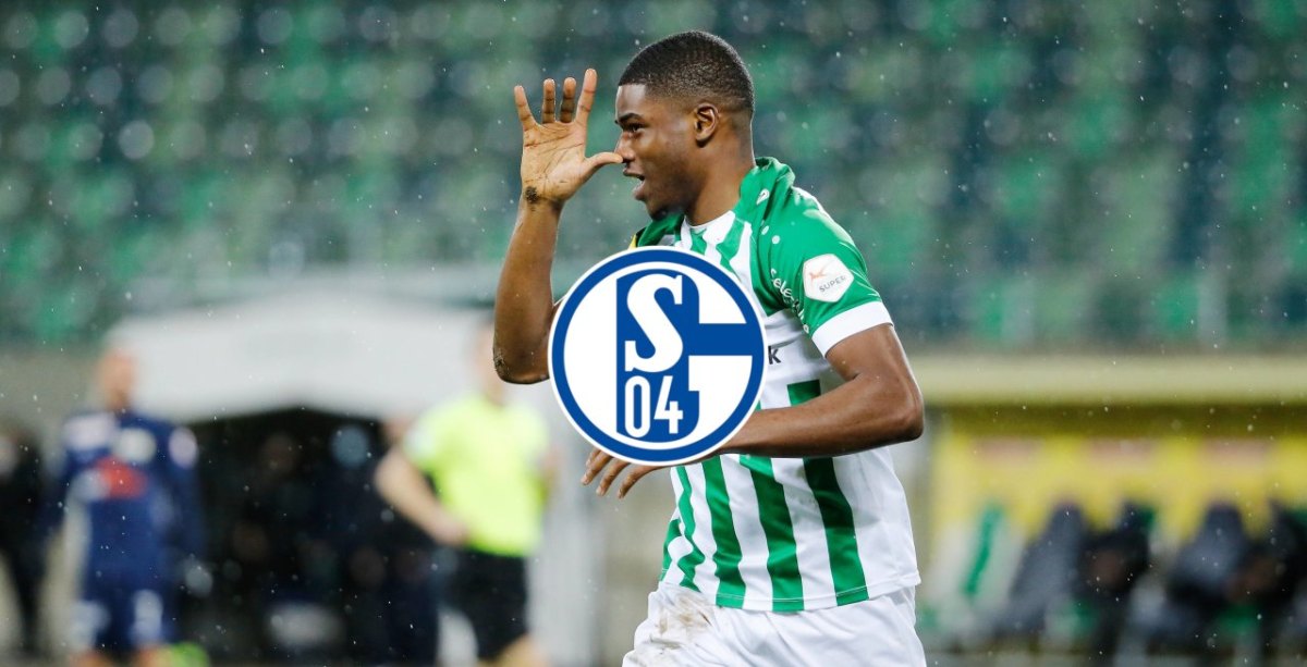 FC Schalke 04 Duah.jpg