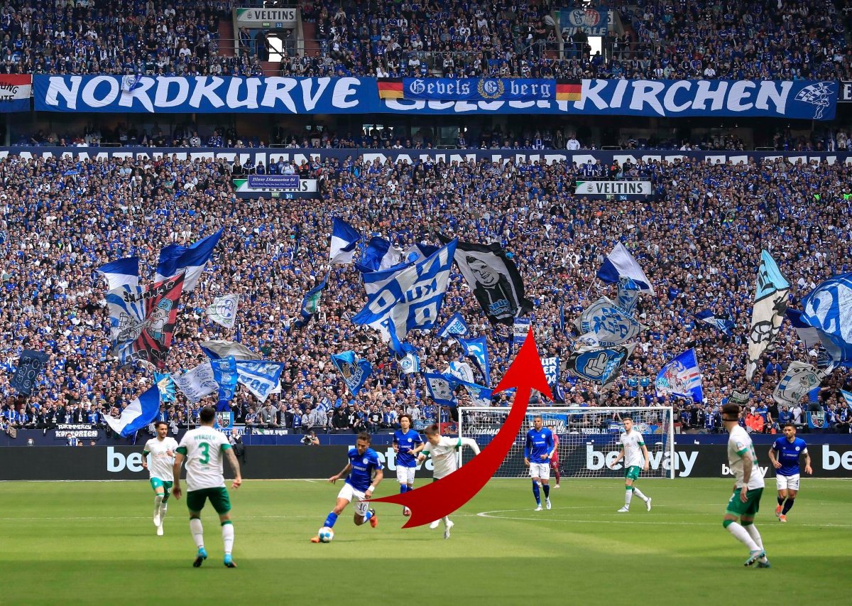 FC Schalke 04- Werder Bremen .jpg