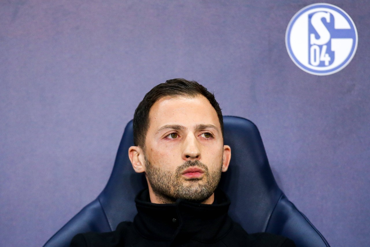 Beim FC Schalke 04 wurde Domenico Tedesco entlassen.