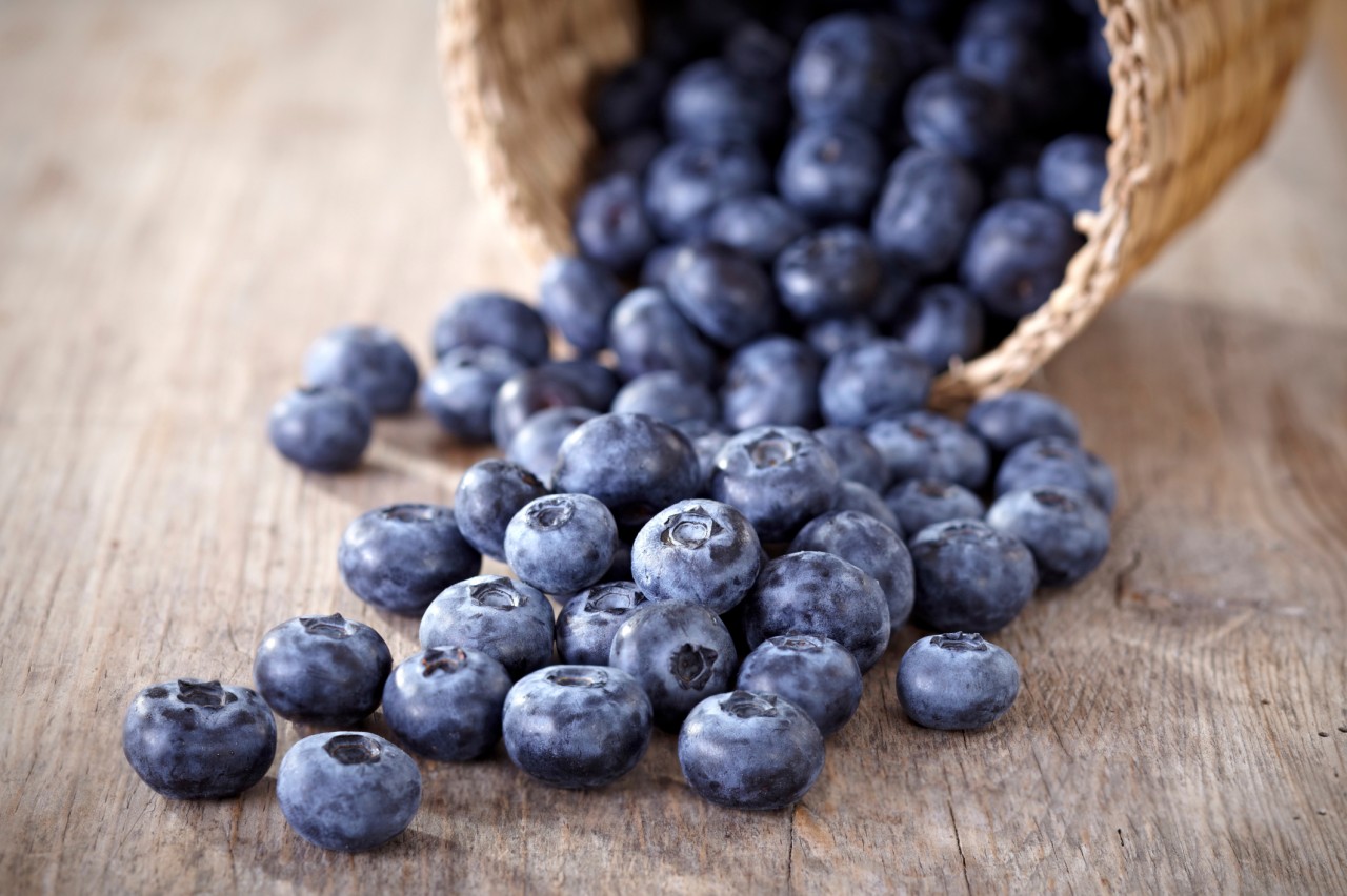 Gelten als Superfrucht mit heilender Wirkung: Heidelbeeren.