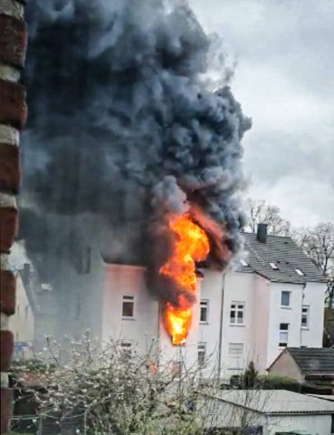 Ein Hund verlor bei einem Brand in Recklinghausen (NRW) sein Leben.