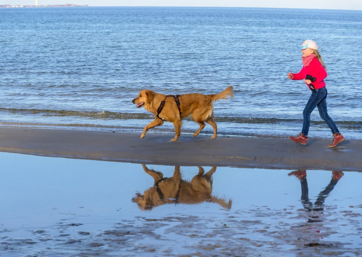 Urlaub Ostsee.jpg