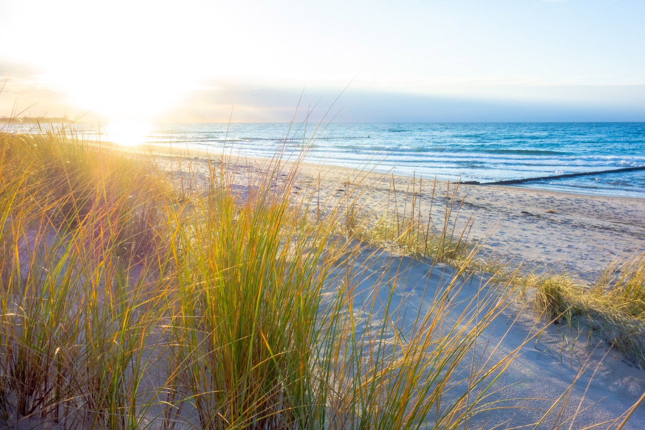 Ärger an der Ostsee. (Symbolbild) 