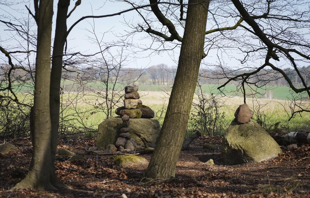 Von Spaziergängern aufgeschichtete Steinhaufen liegen zwischen den noch kahlen Bäumen nahe dem Ort Altkünkendorf im Grumsiner Forst. Der Grumsin liegt im Biosphärenreservat Schorfheide-Chorin.