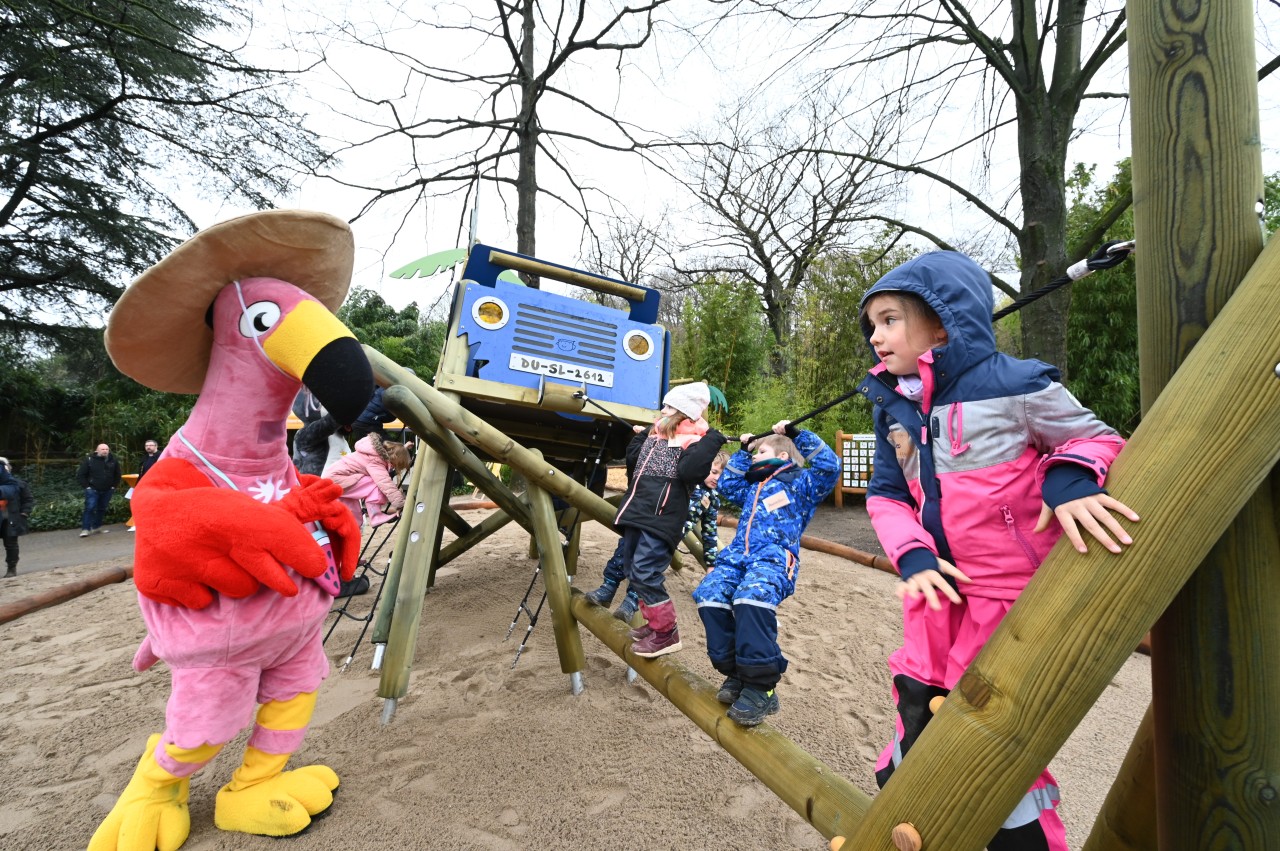 Im Zoo Duisburg gibt es eine neue Attraktion, die endlich eröffnet wurde. 