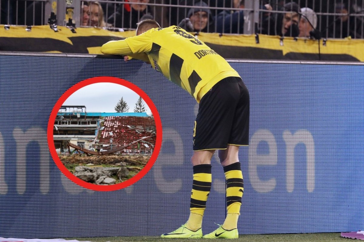 bvb 2.jpg