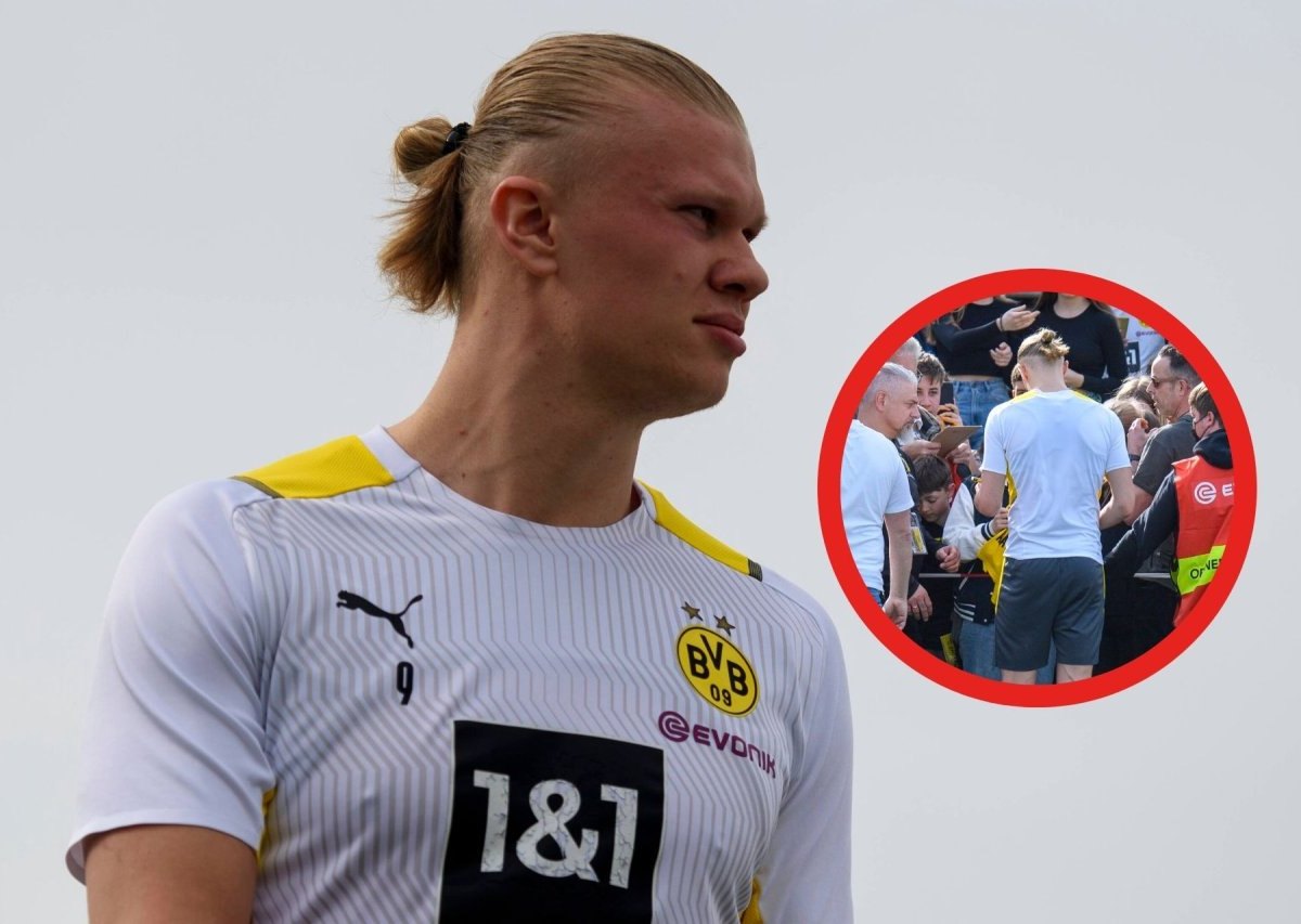 bvb haaland.jpg