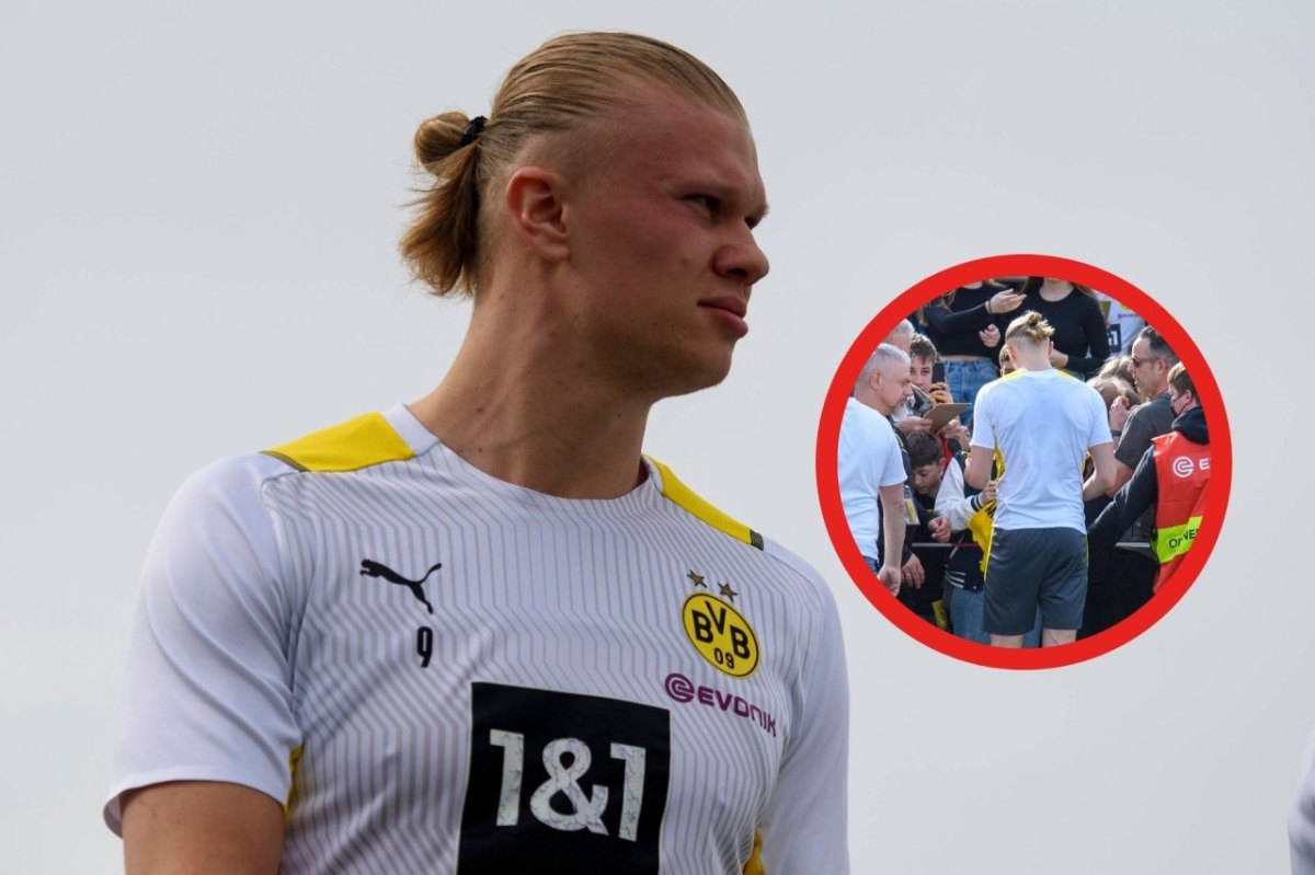 bvb haaland.jpg