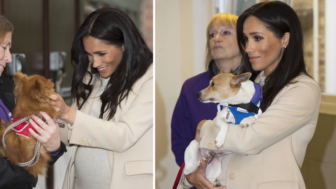 Meghan Markle bei einem Besuch der Londoner Tierschutzorganisation „Mayhew“ im Januar 2019.