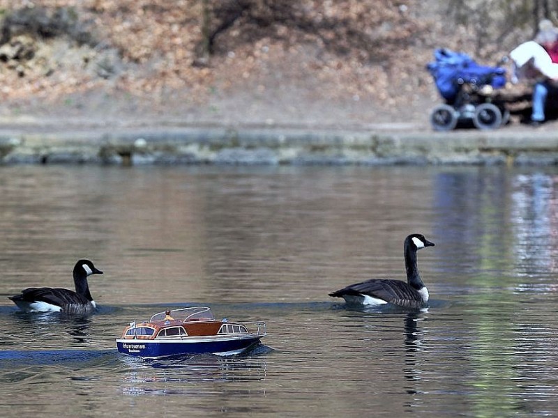 Die Freizeitveranstalter in Witten mußten lange auf die Saisoneröffnung warten;Ansichten am Sonntag, dem 07.04.2013. Hammerteich mit Modellboot und Kanadagänsen. Foto: Walter / WAZ FotoPool