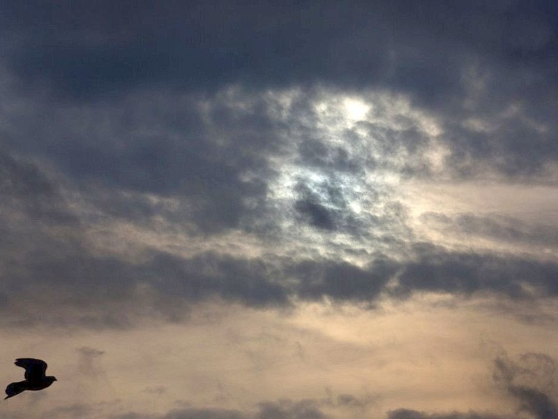 Verheißt der himmel nichts Gutes. Ein Bild aus Düsseldorf, wo die Leute...