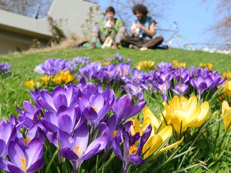 Auch außerhalb von NRW genießt man die Sonne, wie hier in Freiburg...