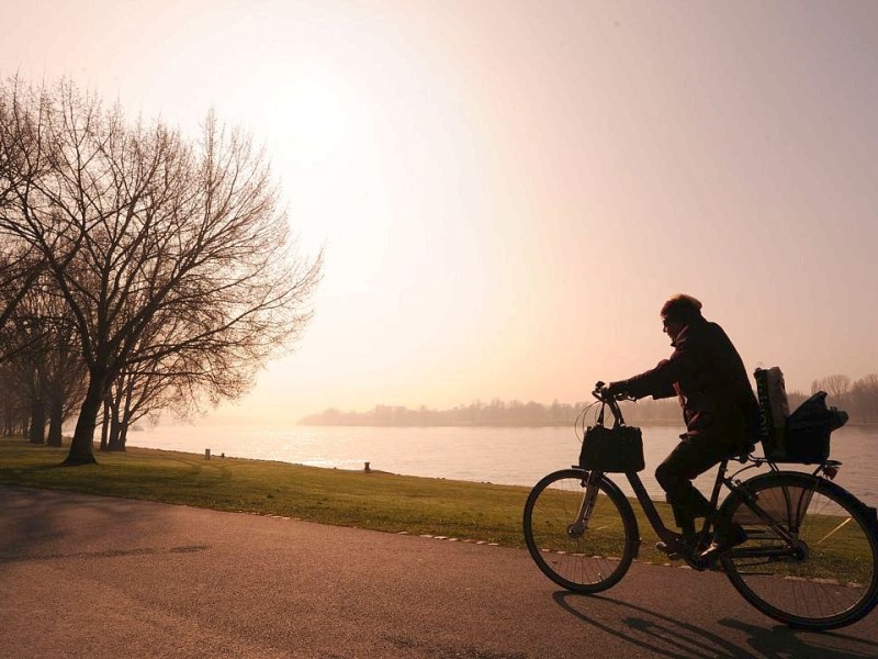 ...und am Rhein in Bonn weiß man die Sonne zu schätzen.