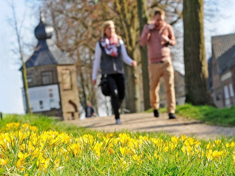 Frühlingsstimmung auch auf dem Burgwall am Bär in Rees.