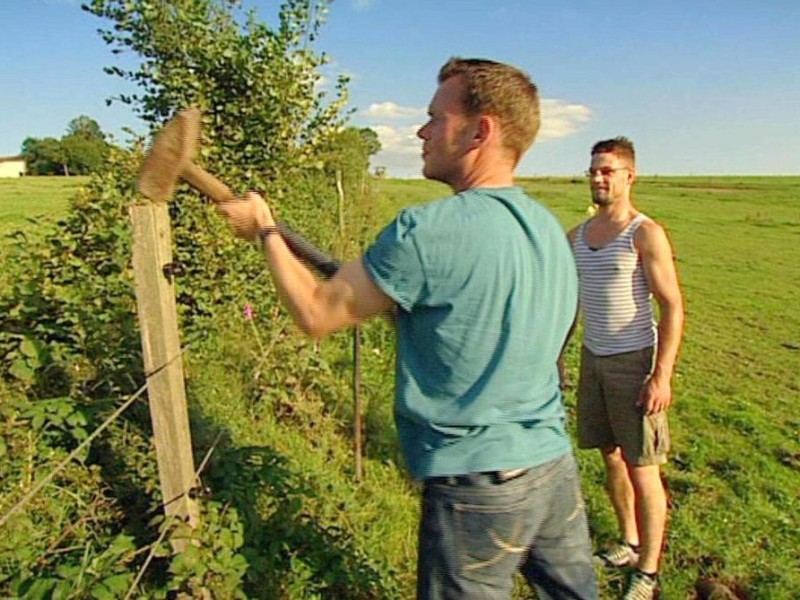 ...machen sich die beiden Turteltäubchen frohen Mutes an die Arbeit: Gemeinsam reparieren sie einen Zaun an der Pferdekoppel. Und Philipp ist wieder einmal beeindruckt von der Muskelkraft seines Herzbuben. Ebenfalls...