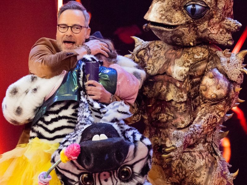 the masked singer enthüllung.jpg