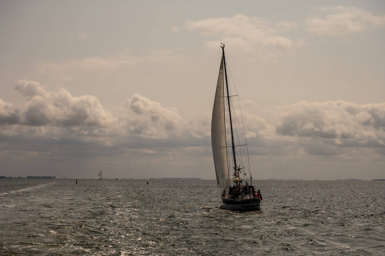 Urlaub an der Ostsee: Kurz vor der Insel Rügen kenterte plötzlich das Segelboot des Paares. (Symbolbild)