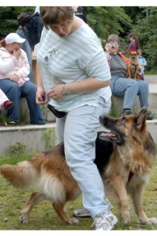 Dog Dancing in Essen 
Foto: Walter Buchholz/waz