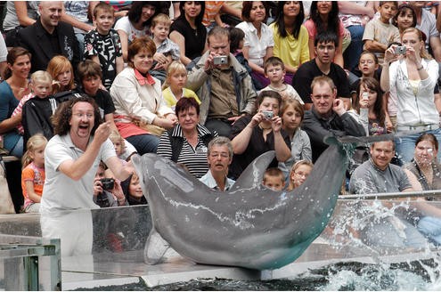 ...und sorgen in Shows für die Unterhaltung der Zoobesucher.