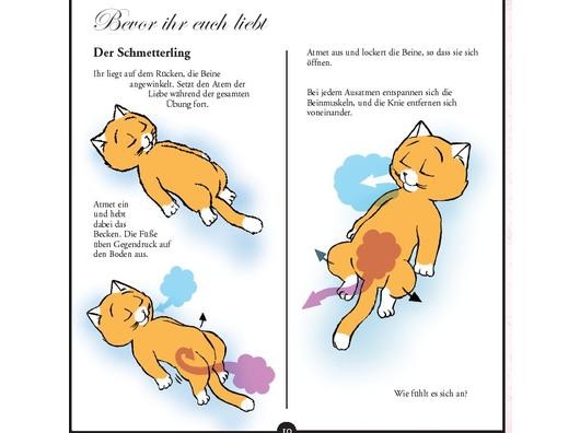 Kleines Katzen-Kamasutra
Foto: reichel-verlag