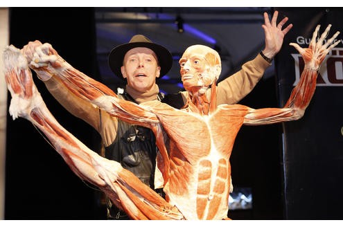 Die Plastination erfand Gunther von Hagens 1977 an der Universität Heidelberg. Dank dieser Technik gelingt es, ...