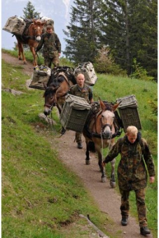 Soldaten des Tragtierzugs der Bundeswehr marschieren  auf dem Zwiesel bei Bad Reichenhall mit ihren Maultieren ueber einen Bergpfad. 
Foto: Lennart Preiss/ddp