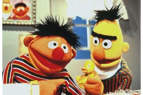 Und das sind alles Stars aus der Sesamstraße:... © NDR/Sesame Workshop