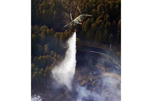 ...Feuer, wie dieser Waldbrand in der Nähe der Stadt Kamai. Das Ausmaß der Zerstörung...