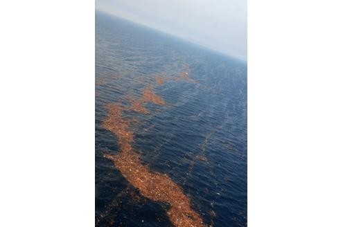 . . . treiben Trümmerreste, die der Tsunami vom Land ins Meer gespült hat. In der Weite des Ozeans . . .