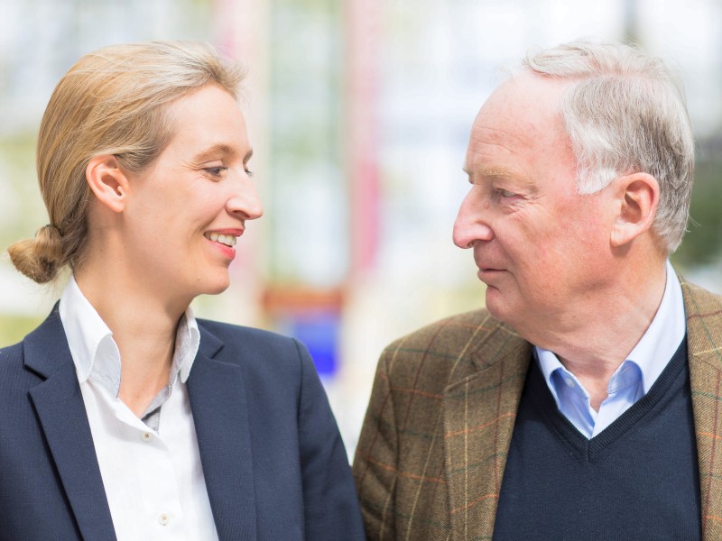 Sie bildete zusammen mit Alexander Gauland das Spitzenduo der Partei für die Bundestagswahl im September 2017. 