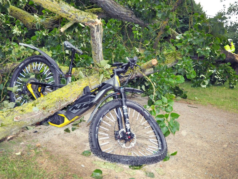 In in Mönchengladbach (Nordrhein-Westfalen) stürzte ein Baum auf dieses Fahrrad.