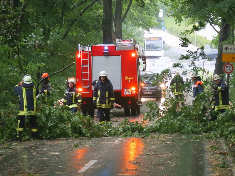 Ähnliche Bilder in Bielefeld. Auch hier ließ der Sturm Bäume umknicken.