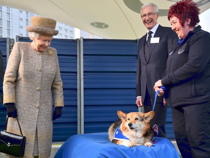 Die Webseite des Palasts informiert auch über weitere Interessen der Queen: „Ein Tierliebhaber von Geburt an.“ Ein tiefes und bemerkenswertes Interesse habe sie zwar an Pferden und Hunden, aber sie wandere auch gerne und interessiere sich für traditionelle schottische Tänze.