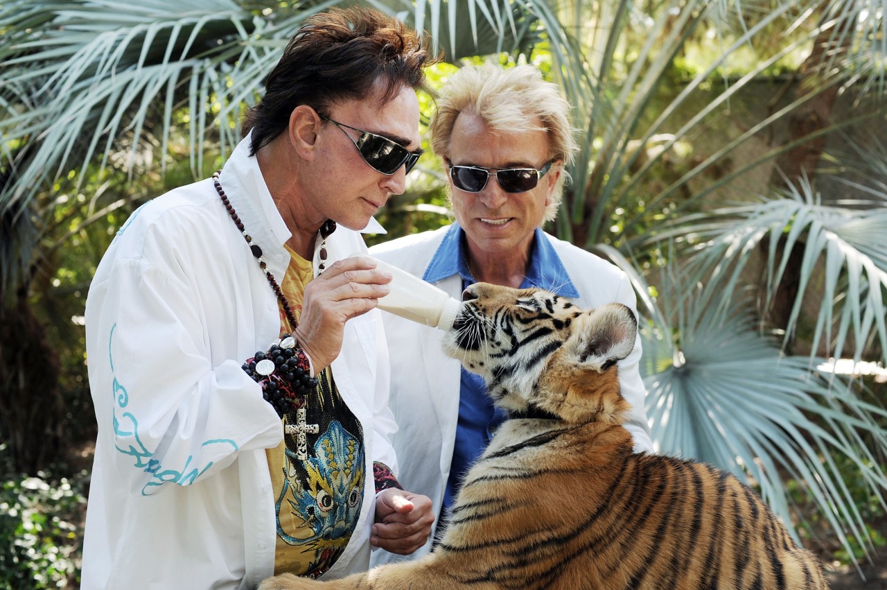 Segfried und Roy in ihrem Garten im August 2008. Bild: dpa