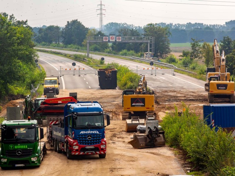 A1, A61