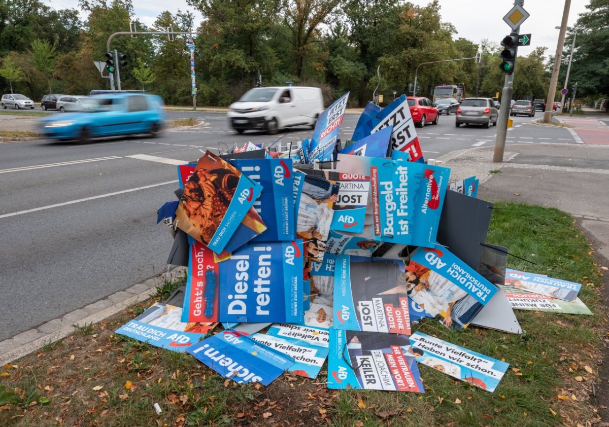 AfD-Sachsen.jpg