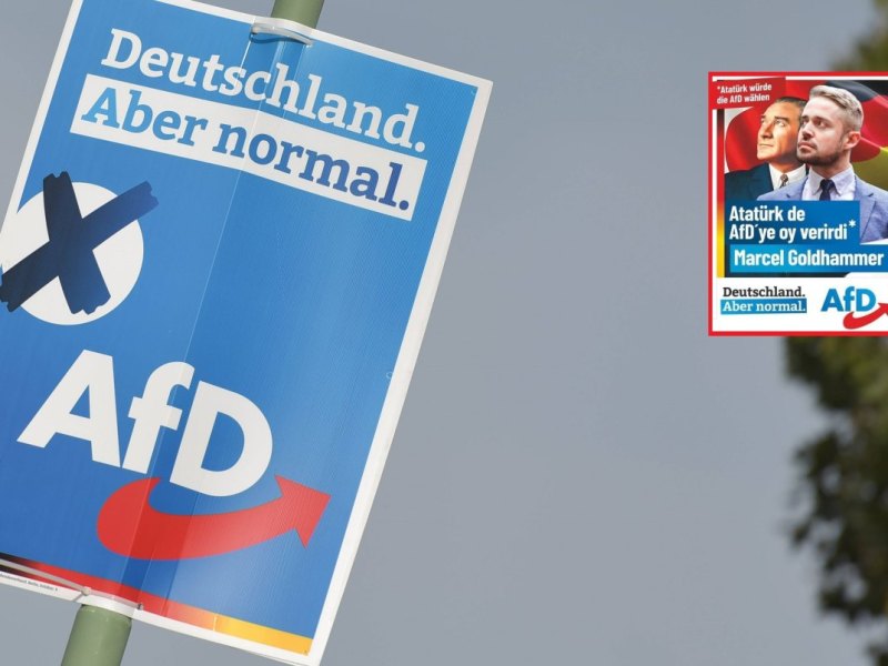 AfD Teaser.jpg