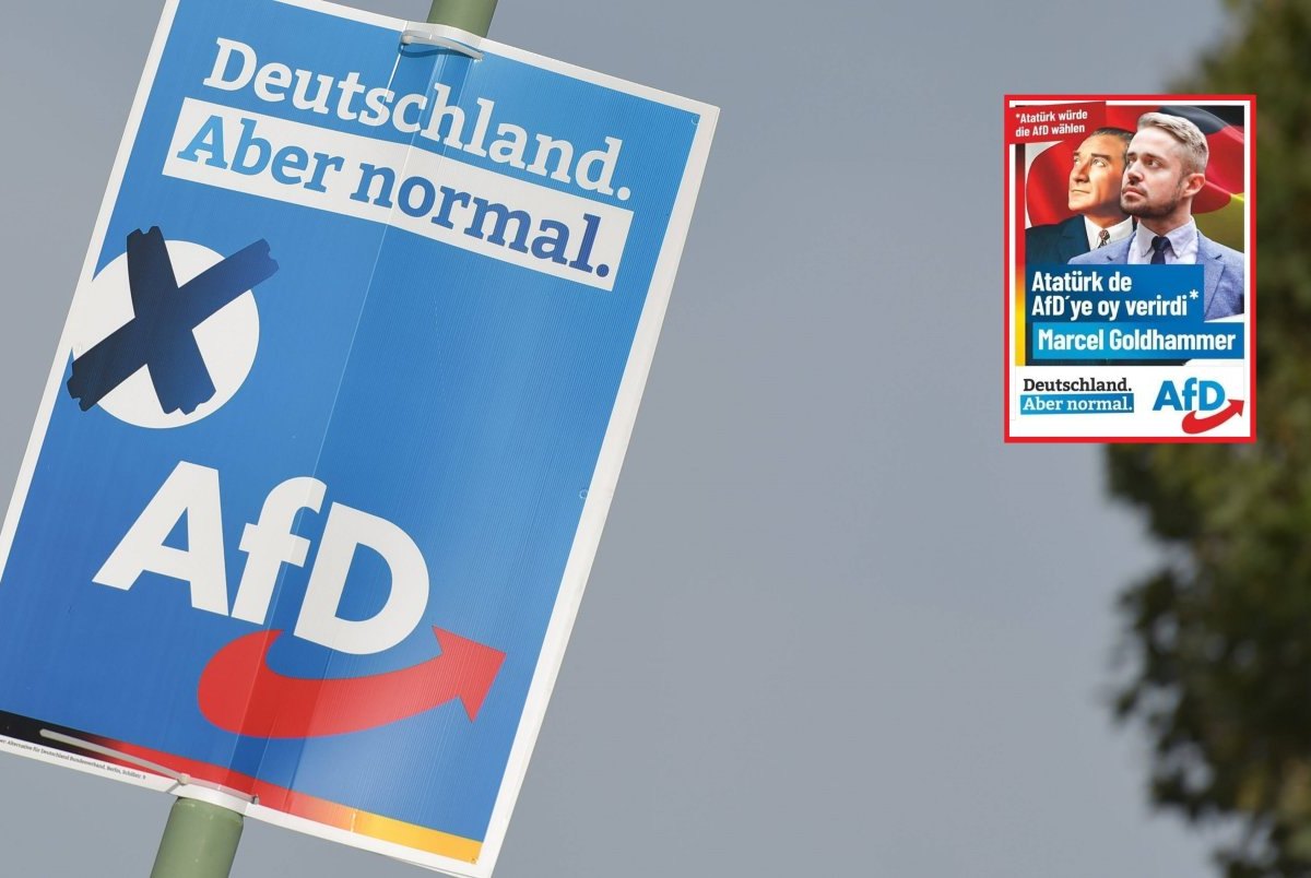 AfD Teaser.jpg