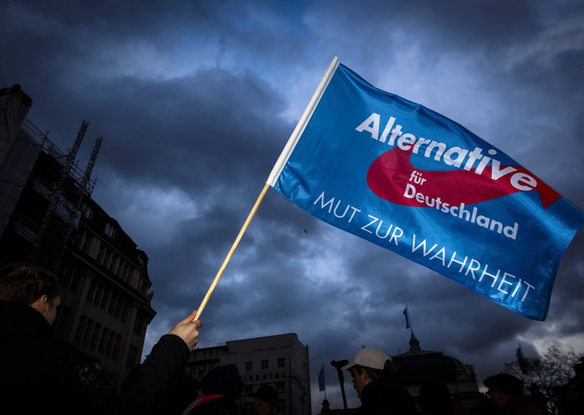 AfD-derFlügel.jpg