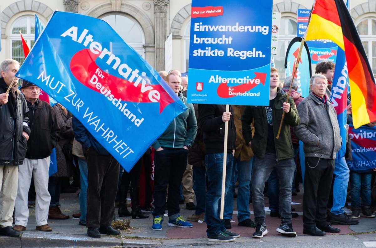 AfD.jpg