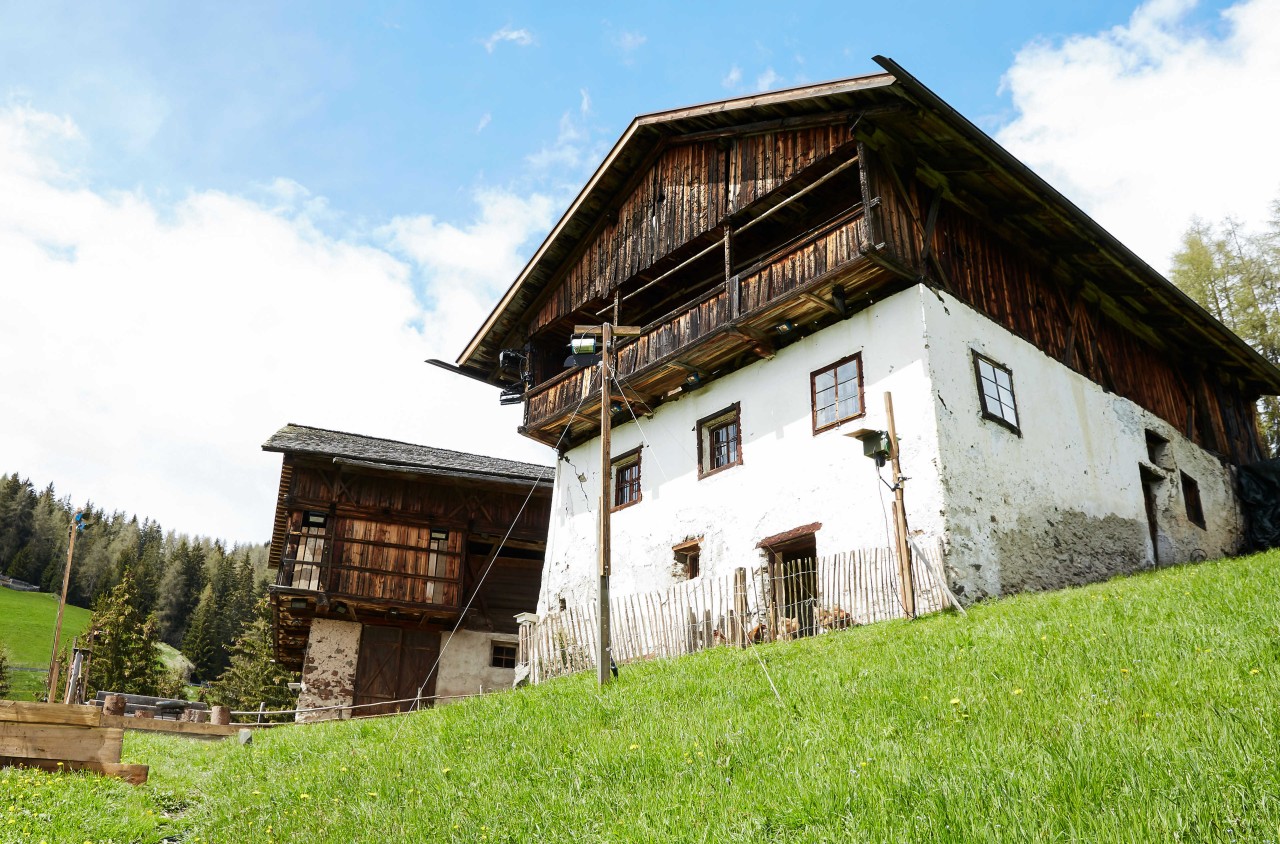 Die Finalisten blamieren sich im letzten Spiel bei „Die Alm“.