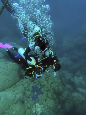 Am Great Barrier Reef darf man nur an ausgesuchten Plätzen tauchen. 