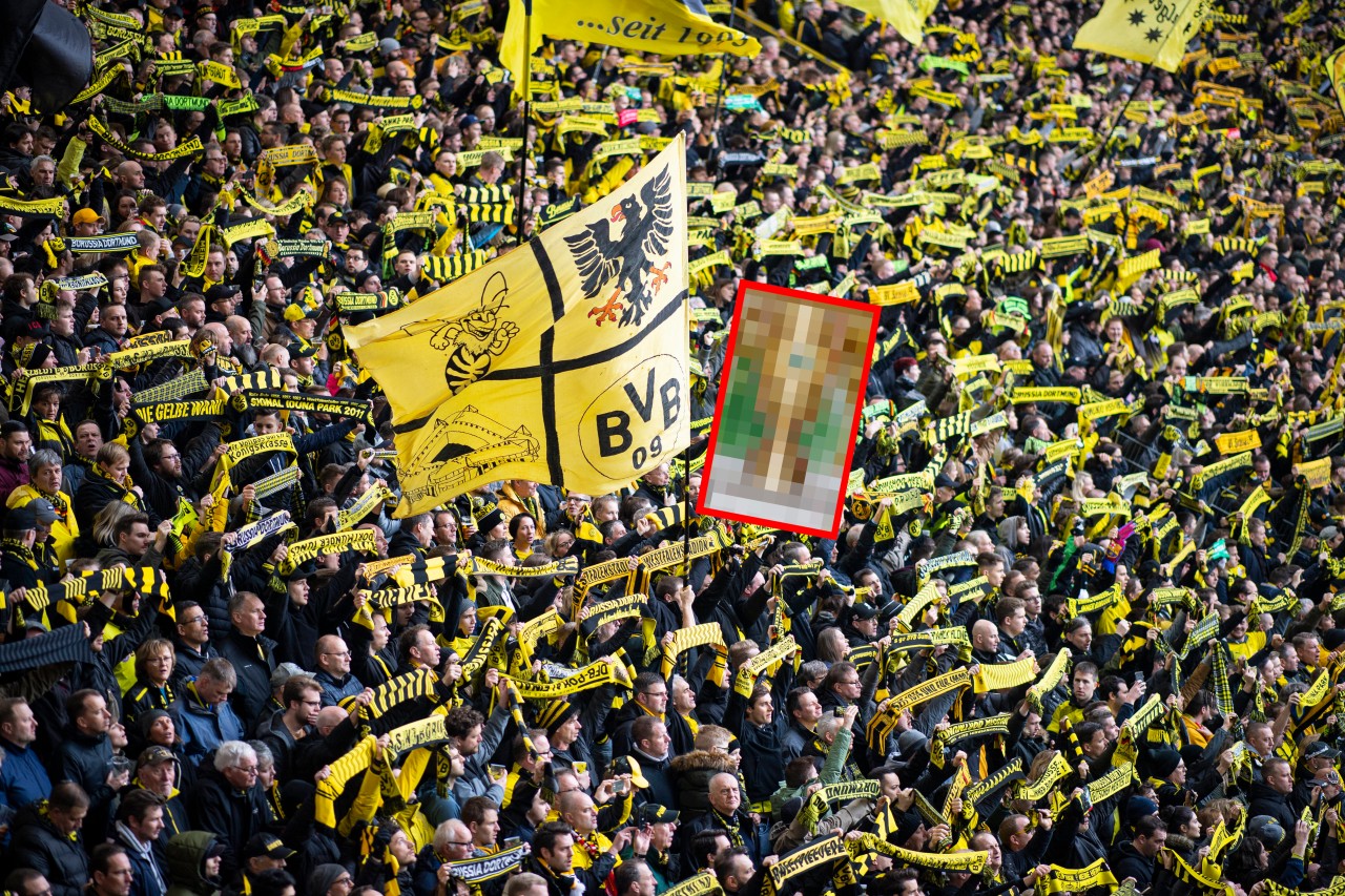 Der BVB hat sich eine Überraschung für seine Fans einfallen lassen.